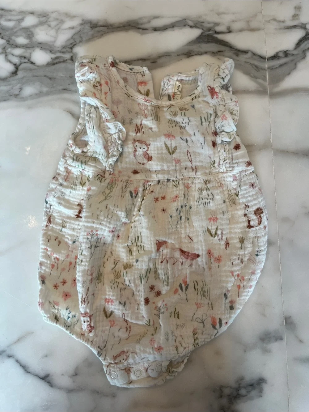 Baby Girl Clothing Bundle
